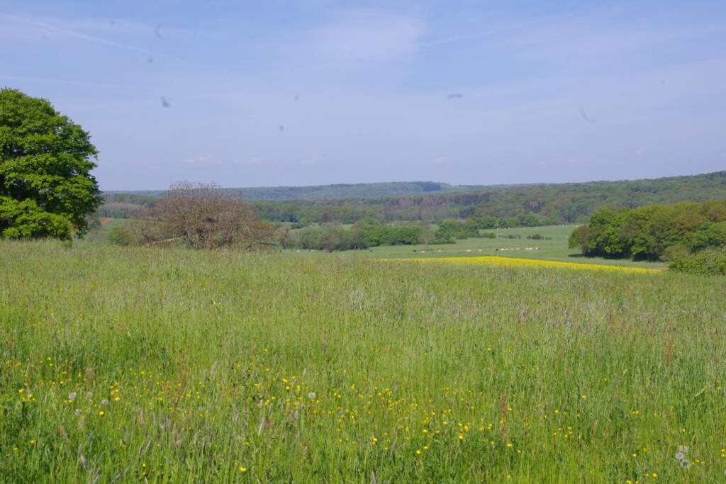 La-Haut, Gite-Maison De Vacances Poinson-les-Fayl ภายนอก รูปภาพ